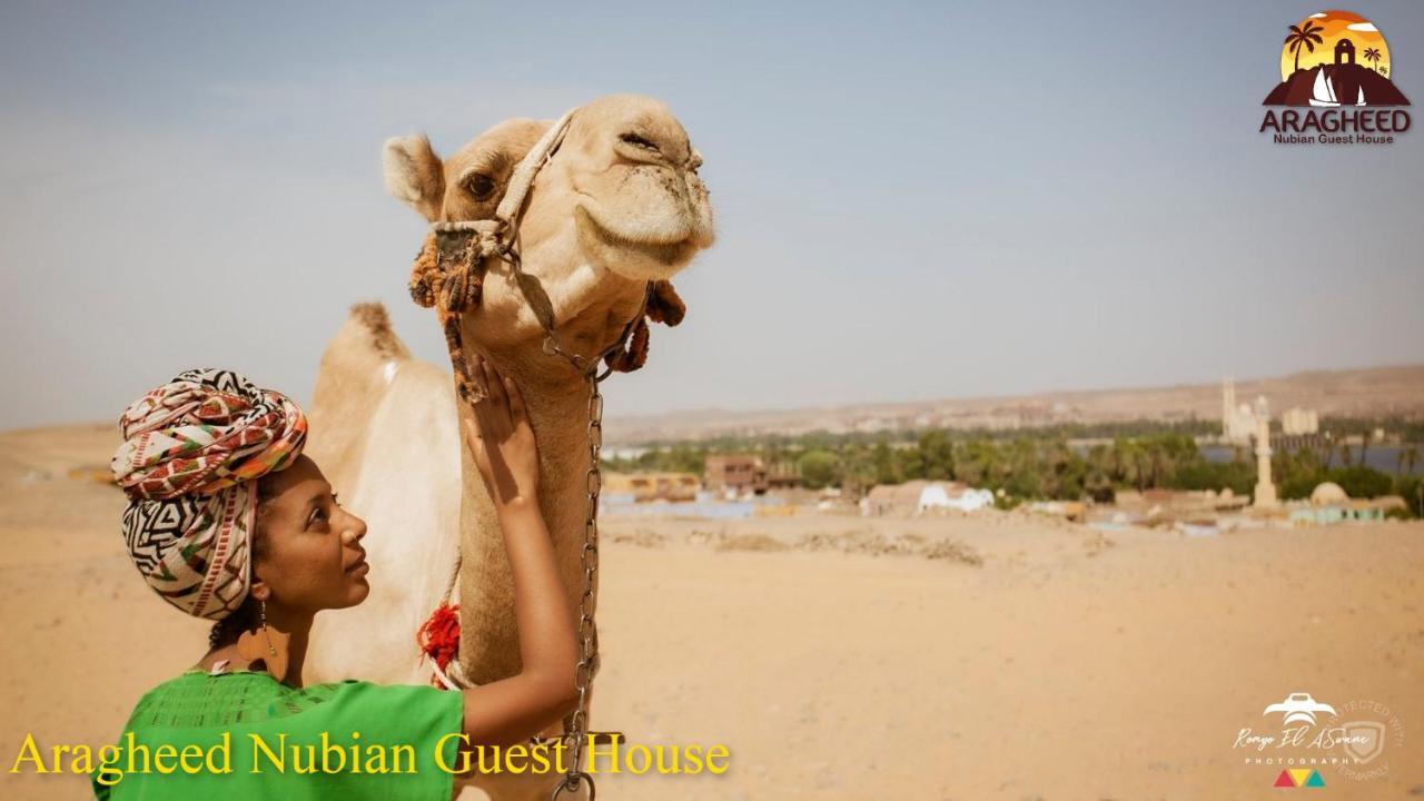 Nubian Kingdom Aragheed House Διαμέρισμα Ασουάν Εξωτερικό φωτογραφία