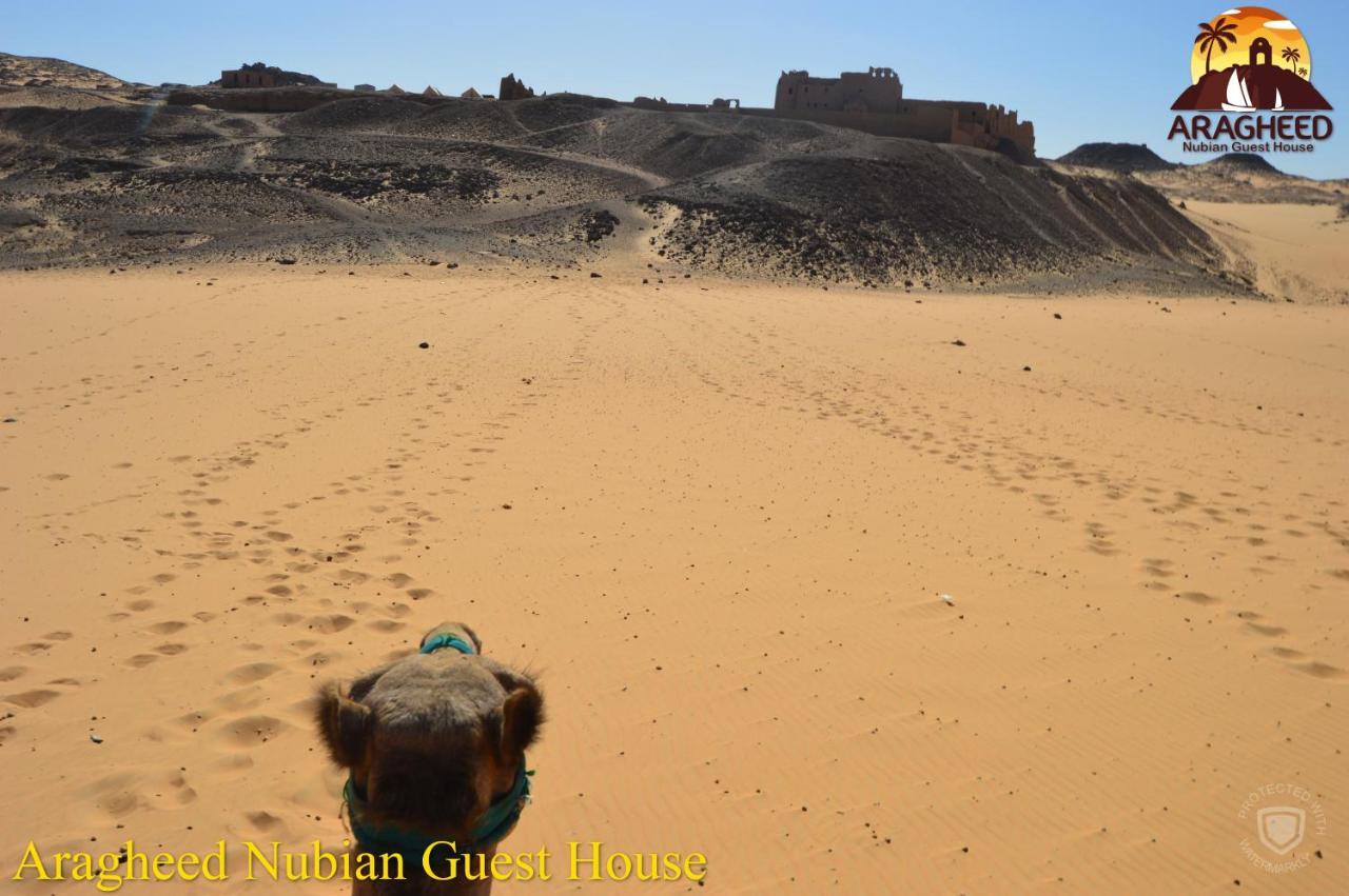 Nubian Kingdom Aragheed House Διαμέρισμα Ασουάν Εξωτερικό φωτογραφία